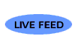 live feed